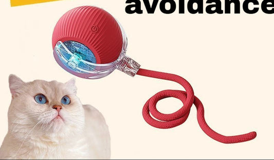 Automatic Self-Play Cat Toy Ball - Hands-Free Rolling Ball for Cats & Small Dogs, Interactive Exercise Toy to Reduce Boredom & Anxiety