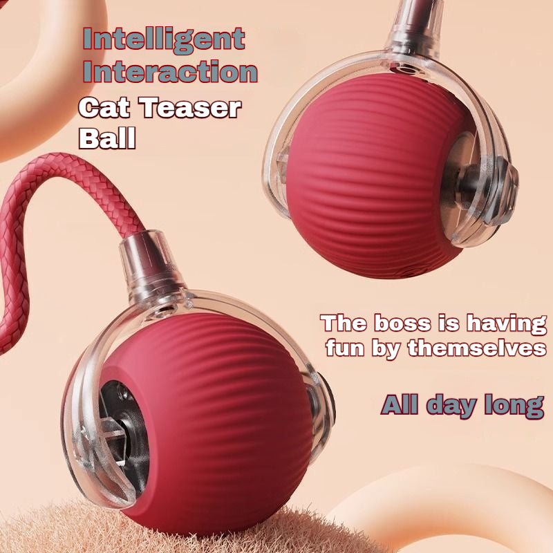 Automatic Self-Play Cat Toy Ball - Hands-Free Rolling Ball for Cats & Small Dogs, Interactive Exercise Toy to Reduce Boredom & Anxiety