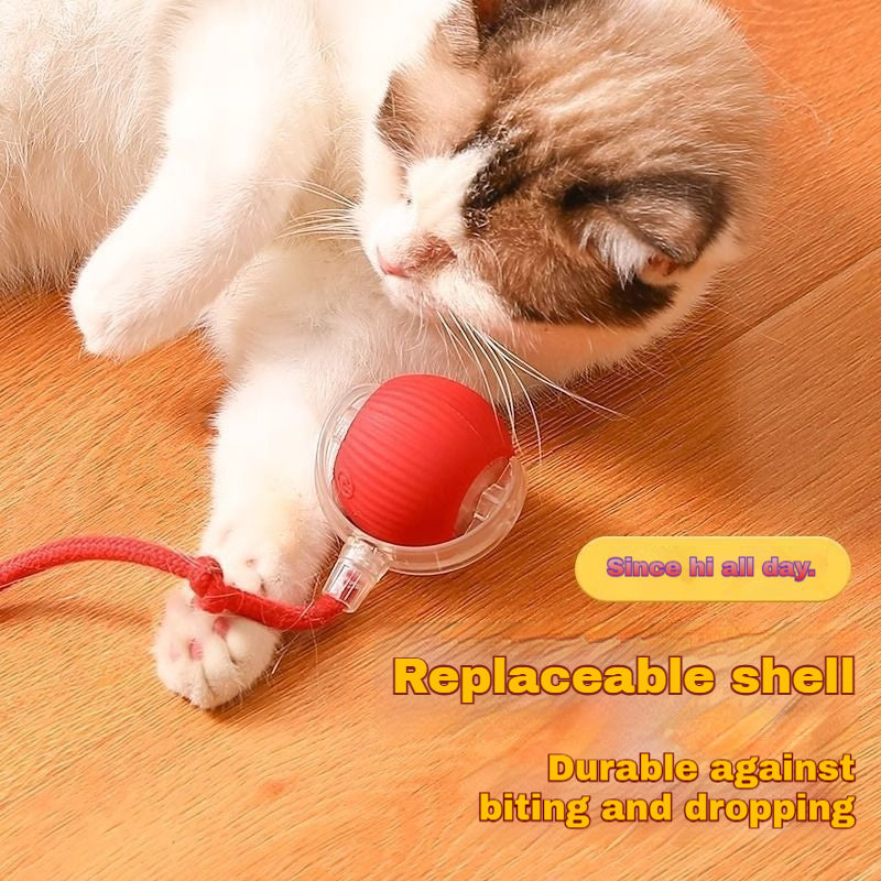 Automatic Self-Play Cat Toy Ball - Hands-Free Rolling Ball for Cats & Small Dogs, Interactive Exercise Toy to Reduce Boredom & Anxiety