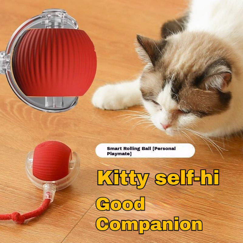 Automatic Self-Play Cat Toy Ball - Hands-Free Rolling Ball for Cats & Small Dogs, Interactive Exercise Toy to Reduce Boredom & Anxiety