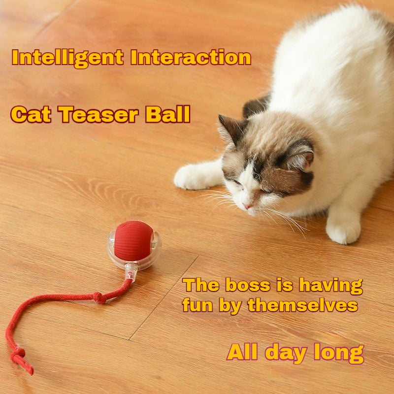 Automatic Self-Play Cat Toy Ball - Hands-Free Rolling Ball for Cats & Small Dogs, Interactive Exercise Toy to Reduce Boredom & Anxiety