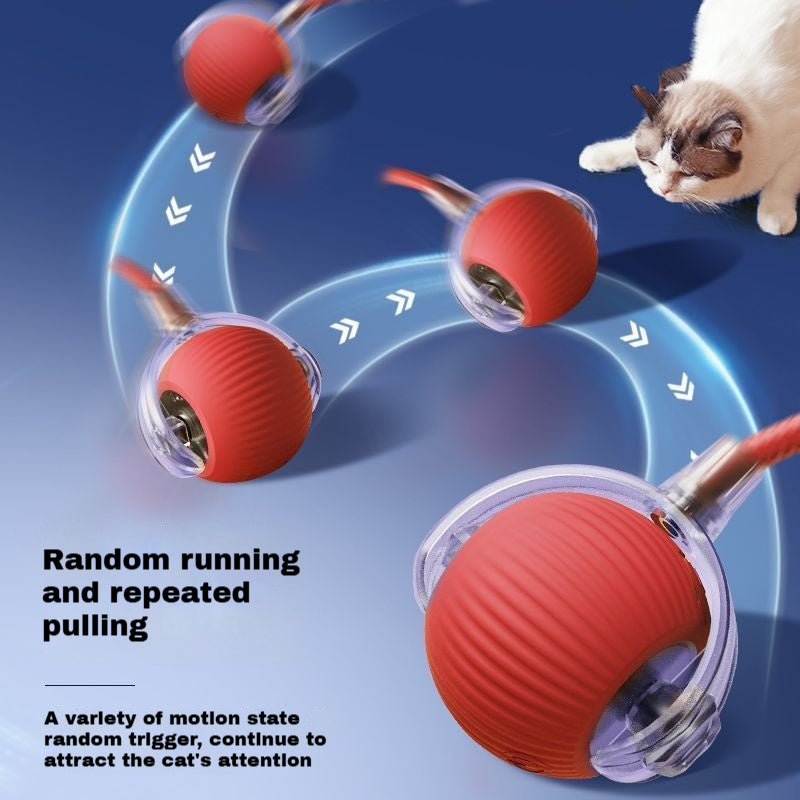 Automatic Self-Play Cat Toy Ball - Hands-Free Rolling Ball for Cats & Small Dogs, Interactive Exercise Toy to Reduce Boredom & Anxiety