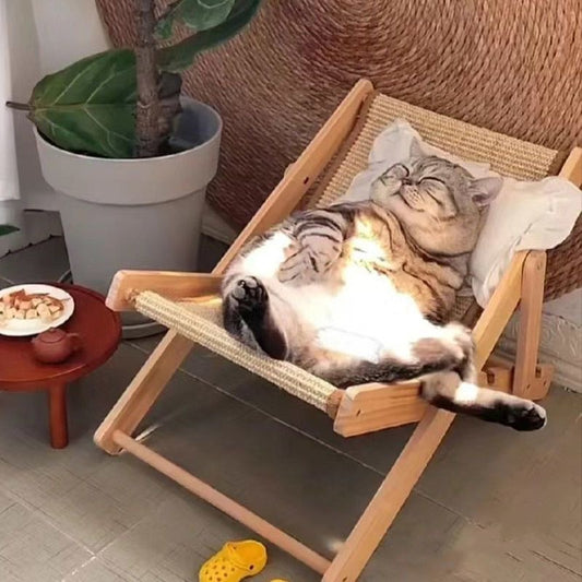 Fold & Scratch™ Sisal Cat Chair – Space-Saving Lounge for Tiny Apartments | 2-in-1 Reversible Design