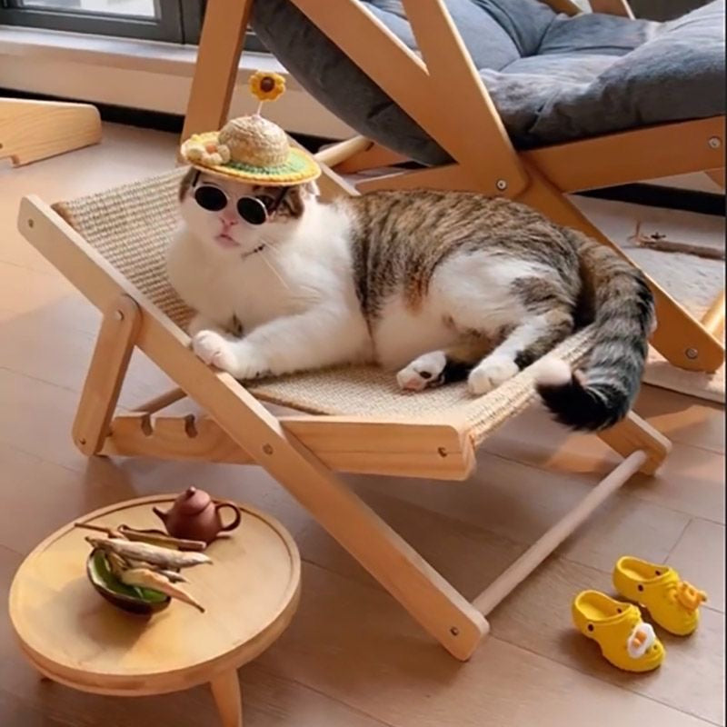 Fold & Scratch™ Sisal Cat Chair – Space-Saving Lounge for Tiny Apartments | 2-in-1 Reversible Design