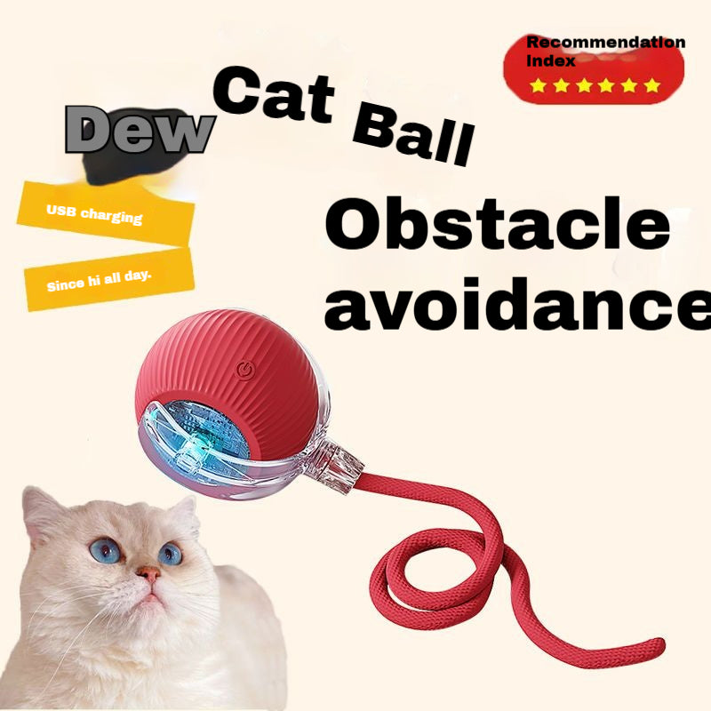 Automatic Self-Play Cat Toy Ball - Hands-Free Rolling Ball for Cats & Small Dogs, Interactive Exercise Toy to Reduce Boredom & Anxiety