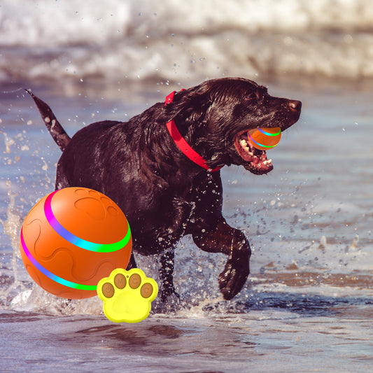 Interactive Pet Toys, [Newly Upgraded] Auto-Rolling Ball - Motion Activated Self-Play Toy for Bored Dogs & Cats, USB Rechargeable & Durable (Small/Medium/Large Pets)